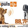 Radio Puls Grocka