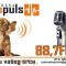 Radio Puls Grocka