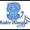 Radio Džungla Doboj